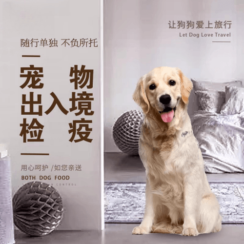 陇南市宠物托运到哥伦比亚猫狗宠物入境规定和
