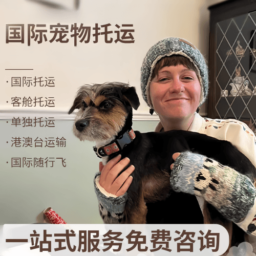 陇南市国际宠物托运到阿根廷宠物入境规定和要