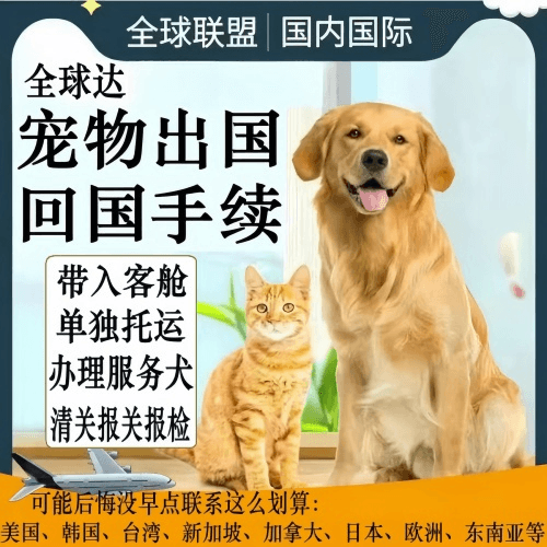 陇南市宠物托运到柬埔寨宠物入境规定和要求